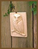 Peggy_Maceo_Owl